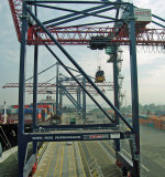 New York Container Terminal
